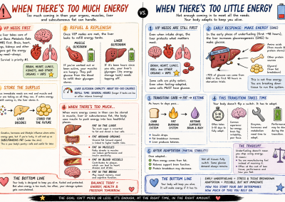 Infographic comparing over eating for your biologic demands vs under eating for your biologic demands